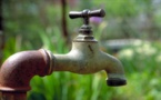 Distribution de l’eau au Sénégal : Sde, Veolia ou Suez, c'est la France qui gagne toujours