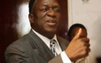 Mnangagwa est-il le président du Zimbabwe en attente ?