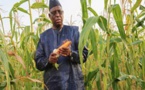 Agriculture : Le budget en hausse de près de 20 milliards