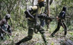 Diouloulou : Des touristes européens violentés par des porteurs d'armes (Source Sécuritaire)