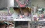 Ziguinchor : Deux rebelles mis en prison, des munitions saisies et des champs de chanvre détruits