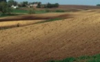 Vélingara : Litige foncier dans la commune de Pakour.
