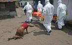 Ebola Refait Surface En Afrique