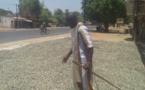 La campagne de commercialisation de l'anacarde se confronte davantage à des difficultés suite à l'interdiction du gouvernement du Sénégal