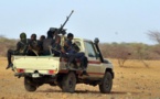 Niger: qui sont les «bandits armés» qui sévissent aux frontières du pays?