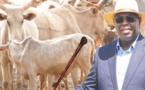 Macky Sall alloue milliard FCFA aux éleveurs victimes des intempéries