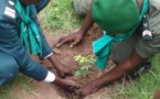 A l'instar des autres régions du Sénégal, la région de KOLDA a célébré ce dimanche 5 AOÛT la journée nationale de l'arbre