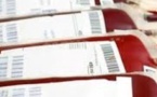 Matam : 85 poches de sang collectés pour l'hopital régional