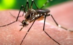 Santé : Trois cas de Dengue signalés à Fatick