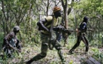 Casamance / Braquage sur la RN4 : Des hommes armés tirent sur des véhicules et blessent des passagers