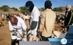 PESTE DES PETITS RUMINANTS : SENSIBILISATION TOUS AZIMUTS À MBOUR POUR ÉRADIQUER LE FLÉAU