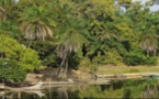 Ziguinchor, un agent des Eaux et Forêts et Chasse touché par une balle d'un fusil de chasse