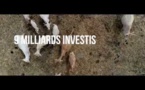 Les réalisations de Macky Sall à Saint-Louis, Richard-Toll, Dagana, Podor, Ndioum