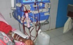 Santé : Le Sénégal compte 800 mille insuffisants rénaux