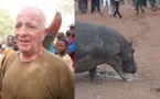 Kédougou : Ce que risque le chasseur qui a tué l'hippopotame