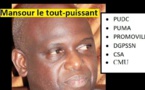 1000 milliards à gérer, Mansour Faye est devenu le plus puissant des…Ministres