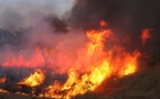 RANCH DE DOLLY : Le feu a touché 45 hectares