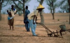 Campagne agricole 2018 : "Les chiffres qui ont battu tous les records de production"