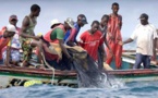Guet-Ndar : Cinq pêcheurs portés disparus