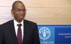 ROME : Le ministre de l’Agriculture Moussa Baldé reçu à la FAO.