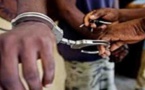 Dakar: 16 individus arrêtés par la police pour trafic et détention de drogue