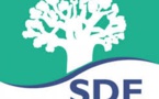 Perturbations dans la distribution d’eau dans certains quartiers de Dakar: La SDE évoque l’installation progressive de la chaleur