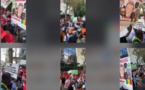 New York : Des Sénégalais vilipendent Macky devant le siège des Nations Unies