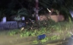 [Photos] Voici les dégâts de la pluie orageuse enregistrée à Dakar
