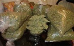 Louga : Pris avec 30 cornets et 75 grammes de chanvre indien, un dealer écope d’un an ferme
