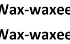 ECOUTEZ. Le Fameux Wax-Waxett des hommes politiques sénégalais: Niasse, Wade, Macky, Cissé Lô, Djibo Kâ, et Cheikh Béthio Thioune au ban des accusés