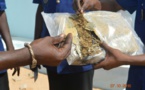 POLICE : Saisie de 30 kilogrammes de chanvre indien de la variété dite « marron »