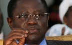 Pape Diop formel et catégorique: «Je reste et demeure toujours au Pds» 