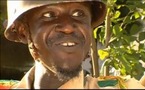 « Dakar ne dort pas » « contrôlée » !