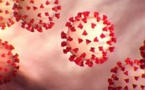 Coronavirus : Le voile se lève peu à peu sur la maladie
