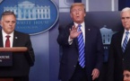 Coronavirus : Trump propose des traitements aux UV et des injections de désinfectant
