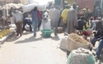 Matam : Un berger de 21 ans se noie dans le bras du fleuve Sénégal