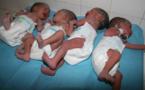 Naissance de quadruplés à l’hôpital Principal de Dakar