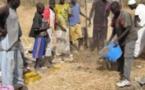 Crise alimentaire : plus de 3 milliards de Bruxelles à Dakar