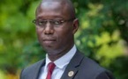 Opposé à l'utilisation de l'artémisia contre le paludisme - Il valide la plante face au covid-19 : Qu'est-ce qui fait courir le Pr Daouda Ndiaye ?