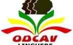 Des polémiques lors du renouvellement des instances de L'ODCAV de Linguère