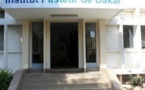 Faux tests, souche Covid-19, rôle : Les vérités de l’Institut Pasteur de Dakar