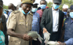 Tambacounda / Relance de la pisciculture : Une production annuelle de 4 tonnes de poissons attendue.