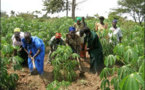 Le chef de l'Etat décidé à s'appuyer sur l'agriculture pour développer l'économie