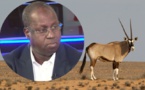 Affaire des gazelles mortes - Abdou Karim Sall à ses oryxs et périls