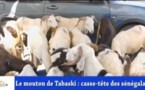 REGARDEZ. Le bélier de Tabaski: Une denrée rare et chère