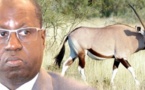 Affaire des gazelles oryx : Le Forum civil vilipende Abdou Karim SALL à l’Onu