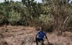 Le conflit casamançais, un fardeau politique et sécuritaire pour l'État sénégalais