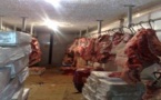 Les riverains du marché « Chavanel » de Pikine se gavaient de viande d’âne et de cheval