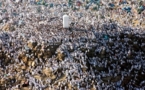 Convergence de pèlerins à Mouna pour la lapidation de Satan 