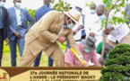 Journée Nationale de l’Arbre : « Il faut reverdir le Sénégal... Il nous faut faire de la reforestation une activité majeure » (Macky Sall)